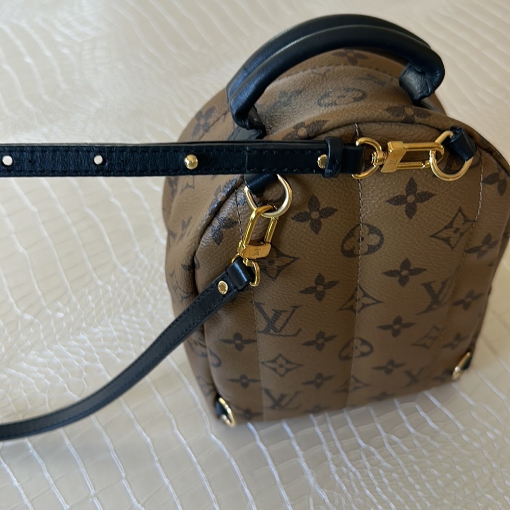 Louis Vuitton Palm Springs Mini Reverse Limited Edition Backpack 💯AUTHENTIC - Picture 6 of 16